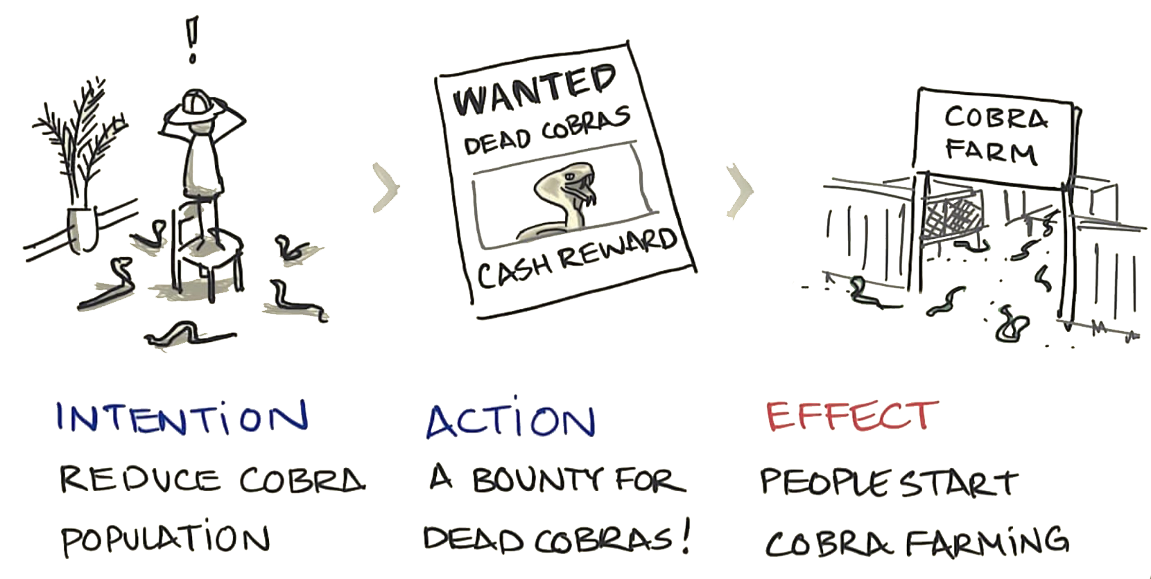 Cobra Effect